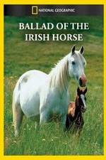 Watch Ballad of the Irish Horse Zmovie