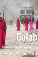 Watch Gulabi Gang Zmovie