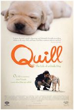 Watch Quill: The Life of a Guide Dog Zmovie