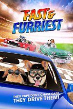 Watch Fast and Furriest Zmovie