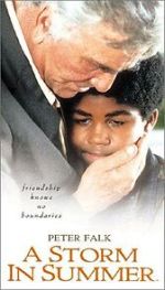 Watch A Storm in Summer Zmovie
