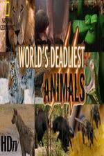 Watch National Geographic - Worlds Deadliest Animal Battles Zmovie