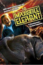 Watch The Incredible Elephant Zmovie