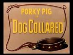 Watch Dog Collared (Short 1950) Zmovie