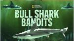 Watch Bull Shark Bandits Zmovie