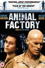 Watch Animal Factory Zmovie