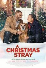 Watch A Christmas Stray Zmovie