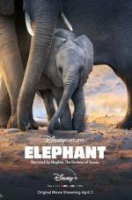 Watch Elephant Zmovie