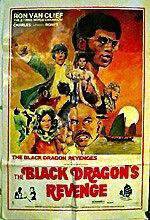 Watch The Black Dragon's Revenge Zmovie