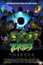 Watch Teenage Mutant Ninja Turtles Turtles Forever Zmovie