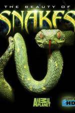 Watch The Beauty of Snakes Zmovie