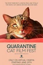 Watch Quarantine Cat Film Fest Zmovie