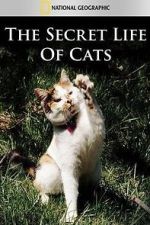 Watch The Secret Life of Cats Zmovie