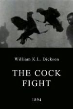 Watch The Cock Fight Zmovie