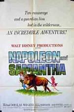 Watch Napoleon and Samantha Zmovie