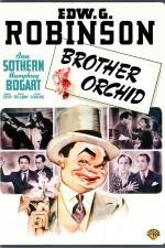 Watch Brother Orchid Zmovie