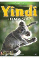 Watch Yindi the Last Koala Zmovie