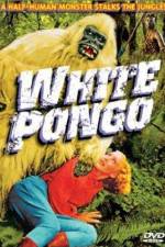 Watch White Pongo Zmovie