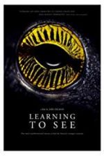 Watch Learning to See: The World of Insects Zmovie