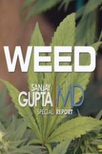 Watch CNN Weed Sanjay Gupta Report Zmovie