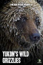 Watch Yukon\'s Wild Grizzlies Zmovie