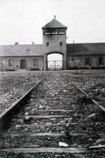 Watch AUSCHWITZ: FRENZIED KILLING Zmovie