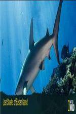Watch National Geographic Wild - Lost Sharks of Easter Island Zmovie