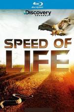 Watch Speed of Life Zmovie