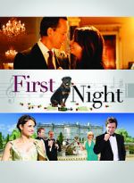 Watch 1st Night Zmovie