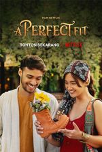 Watch A Perfect Fit Zmovie