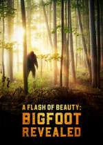 Watch A Flash of Beauty: Bigfoot Revealed Zmovie