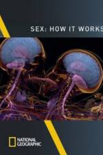 Watch Sex How It Works Zmovie