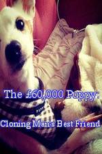Watch The 60,000 Puppy: Cloning Man's Best Friend Zmovie