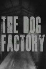 Watch The Dog Factory Zmovie
