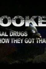 Watch Hooked Illegal Drugs & How They Got That Way - Opium Morphine and Heroin Zmovie