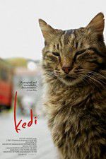 Watch Kedi Zmovie