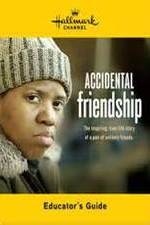 Watch Accidental Friendship Zmovie