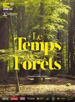 Watch The Time of Forests Zmovie
