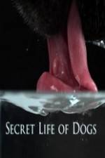 Watch Secret Life of Dog Zmovie