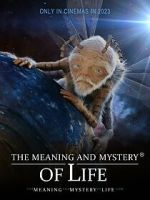 Watch The Meaning and Mystery of Life Zmovie