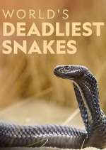 Watch World's Deadliest Snakes Zmovie