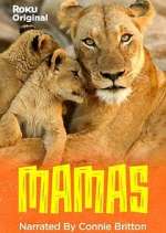 Watch Mamas Zmovie