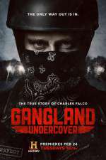 Watch Gangland Undercover Zmovie