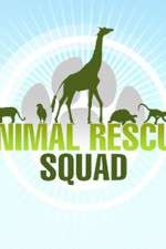 Watch Animal Rescue Squad Zmovie