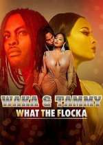 Watch Waka & Tammy: What the Flocka Zmovie