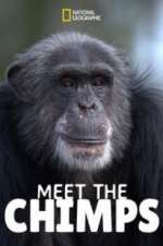 Watch Meet the Chimps Zmovie