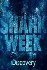 Watch Shark Week Zmovie