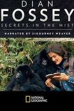 Watch Dian Fossey: Secrets in the Mist Zmovie