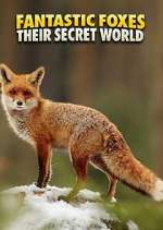 Watch Fantastic Foxes: Their Secret World Zmovie