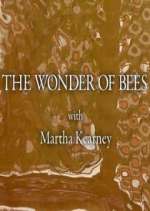Watch The Wonder of Bees with Martha Kearney Zmovie